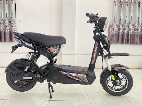 Xe đạp điện thuộc nhóm xe thô sơ