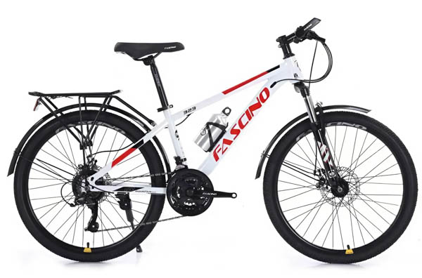 Xe đạp địa hình Fascino F323