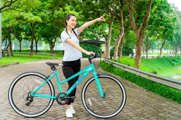 Giới thiệu chung về xe đạp thể thao nữ