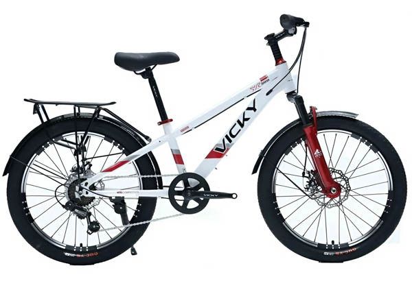 Vicky F20 20 Inch